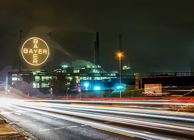 Bayer shares fall after losing Roundup trial