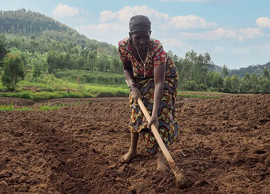 Rwanda’s fertilizer use has more than doubled in past seven years – PM