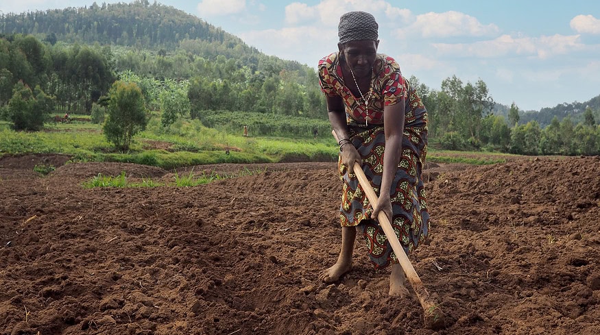 Rwanda’s fertilizer use has more than doubled in past seven years – PM