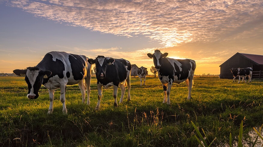 Bion Environmental Technologies introduces new livestock waste Ammonia Recovery System