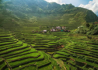 Philippine farmers to receive $177.53mn in fuel and fertilizer assistance