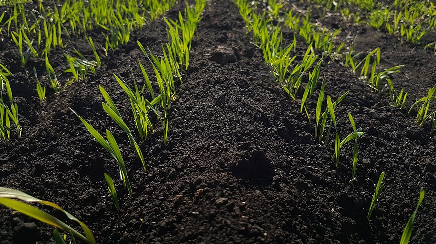 Ag-tech startup Inari raises $103mn in latest funding round