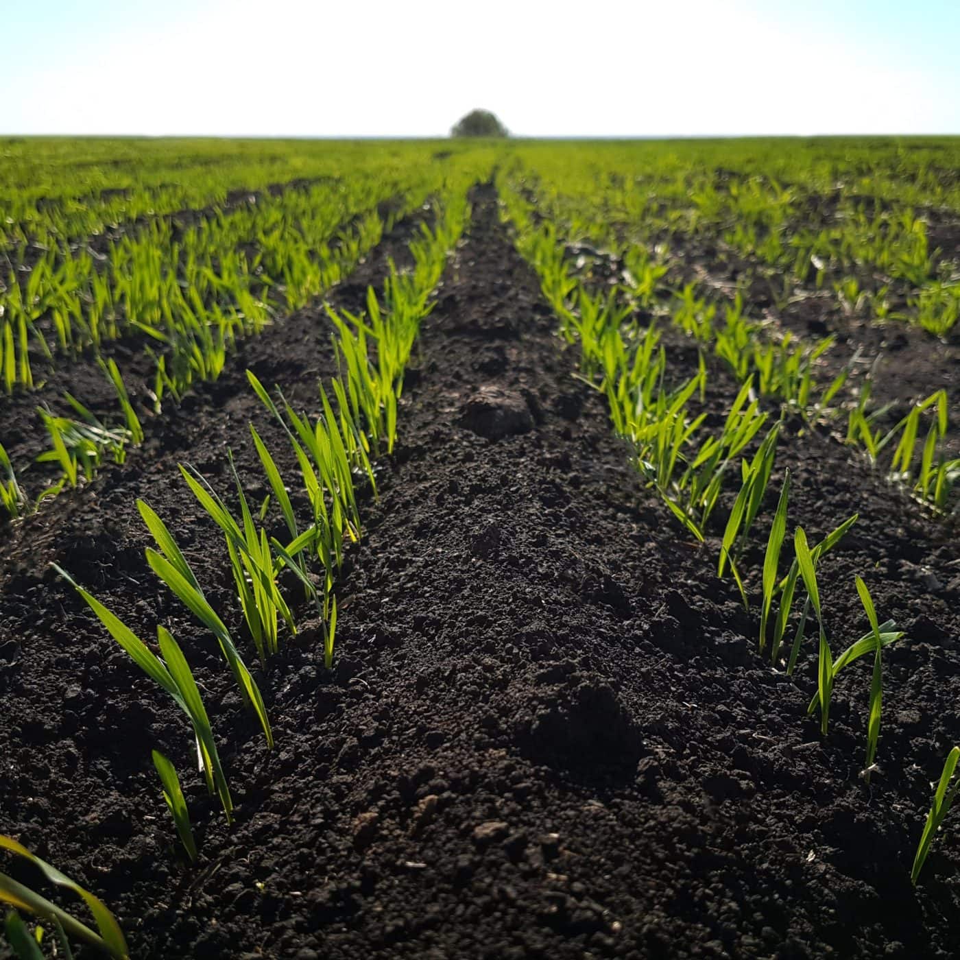 Ag-tech startup Inari raises $103mn in latest funding round