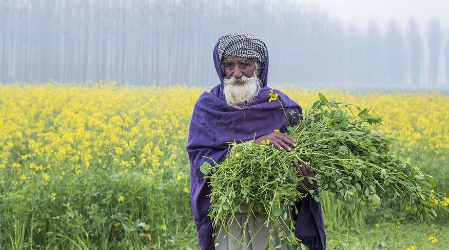 India may launch three bio-fertilizer testing labs in Punjab