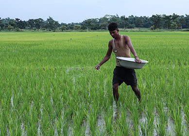 India’s leading fertilizer importer receives bids for over 2.7 million tonnes of urea