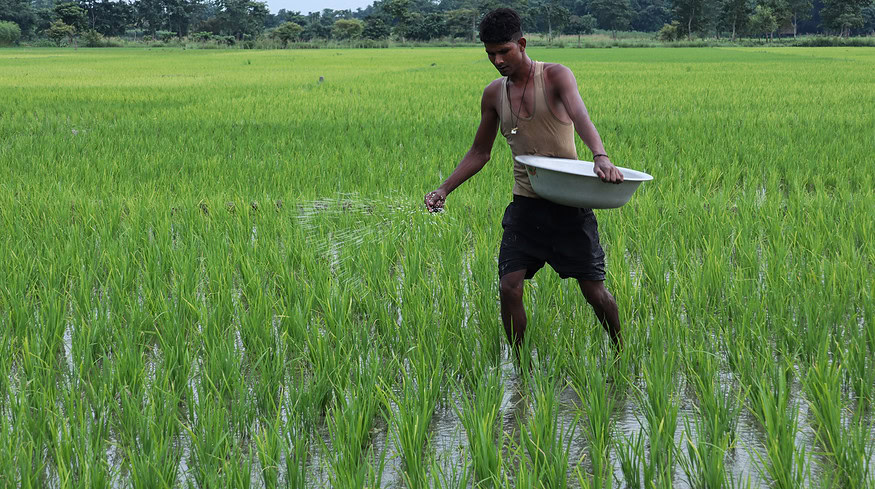 India’s leading fertilizer importer receives bids for over 2.7 million tonnes of urea