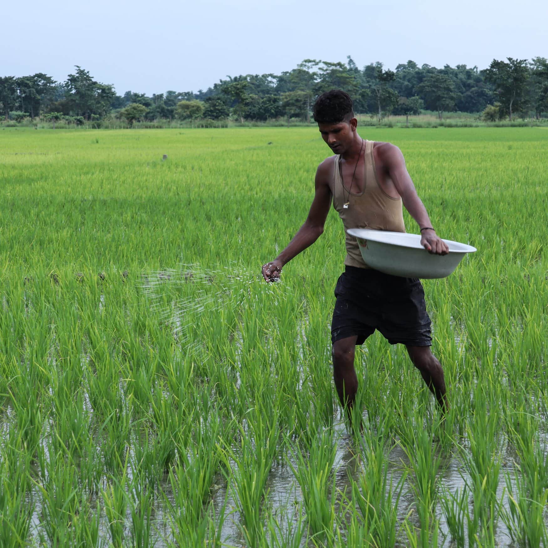 India’s leading fertilizer importer receives bids for over 2.7 million tonnes of urea