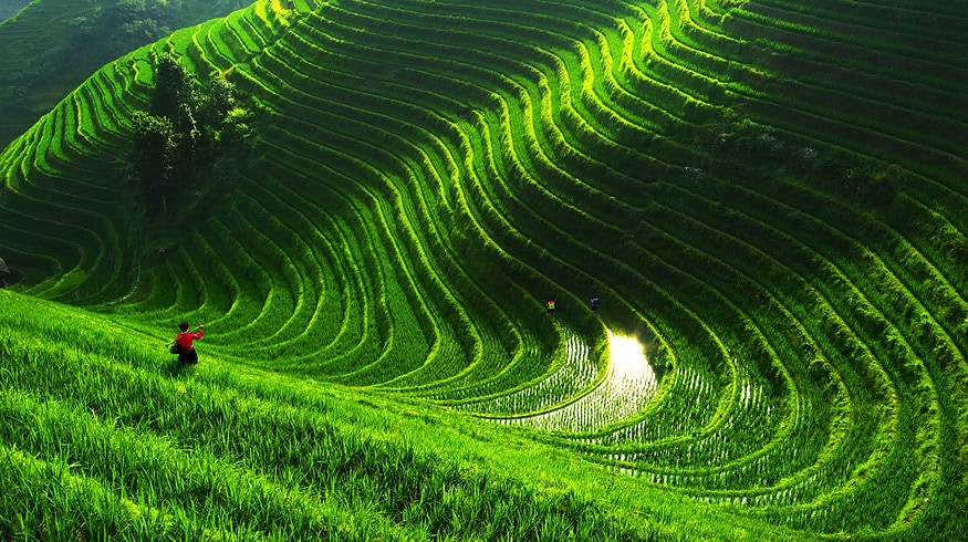 Chinese imports of Russian fertilizer up 70% in 2023