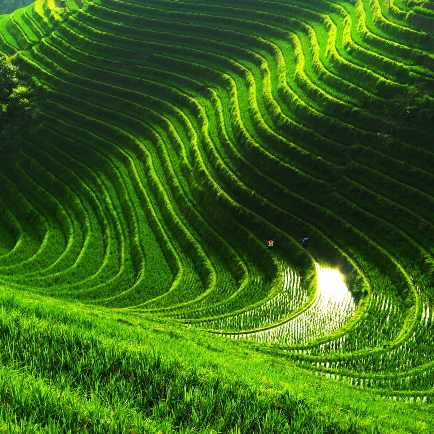 Chinese imports of Russian fertilizer up 70% in 2023