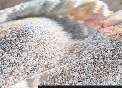 Romania’s Azomureș resumes fertilizer production