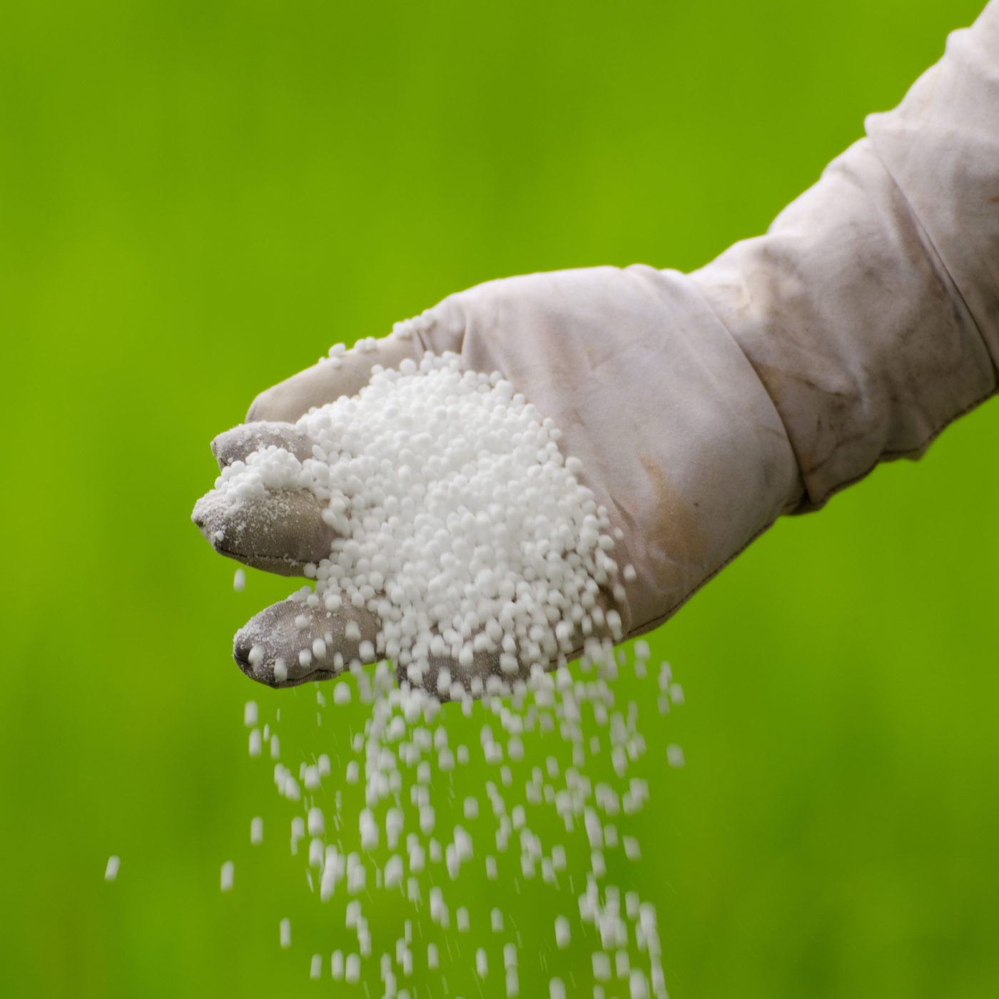 Cinis Fertilizer seeking to establish itself in Asia