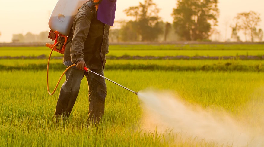 Dutch scientists call for better pesticide screening