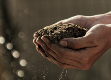 Compost: the secret to free topsoil for gardening