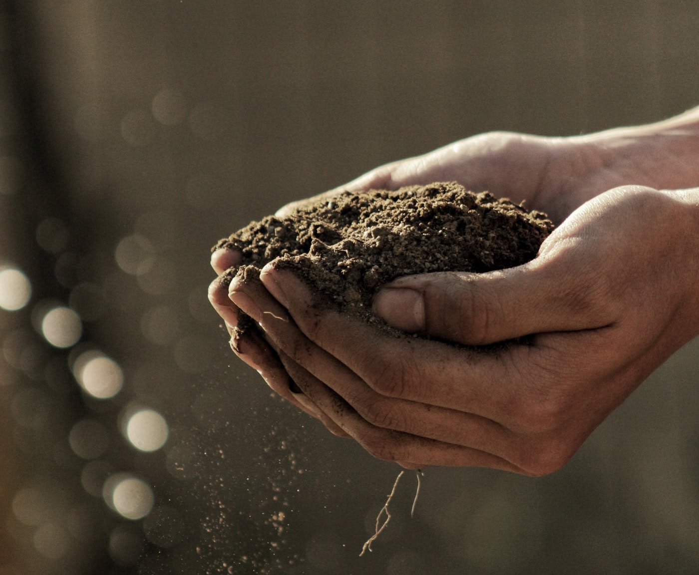 Compost: the secret to free topsoil for gardening