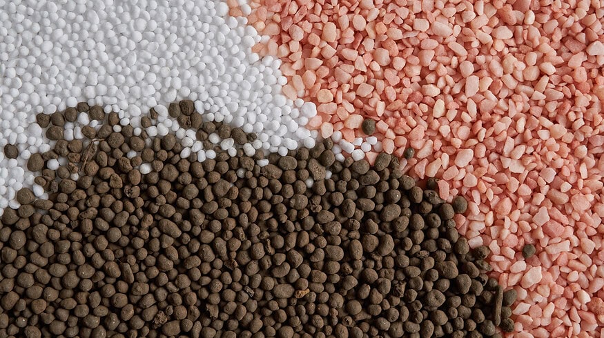 Russia to continue supply of agricultural aid to Africa – deputy PM