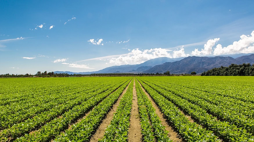 TFI opens nominations for 2024 4R Advocate program