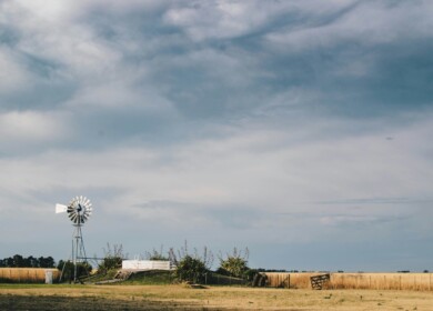 Producers complain that Argentina’s market is hindered by bureaucracy