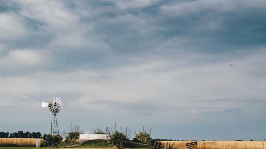 Producers complain that Argentina’s market is hindered by bureaucracy