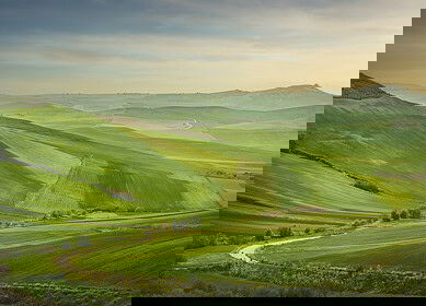 Puglia’s agricultural sector witnesses challenges and opportunities