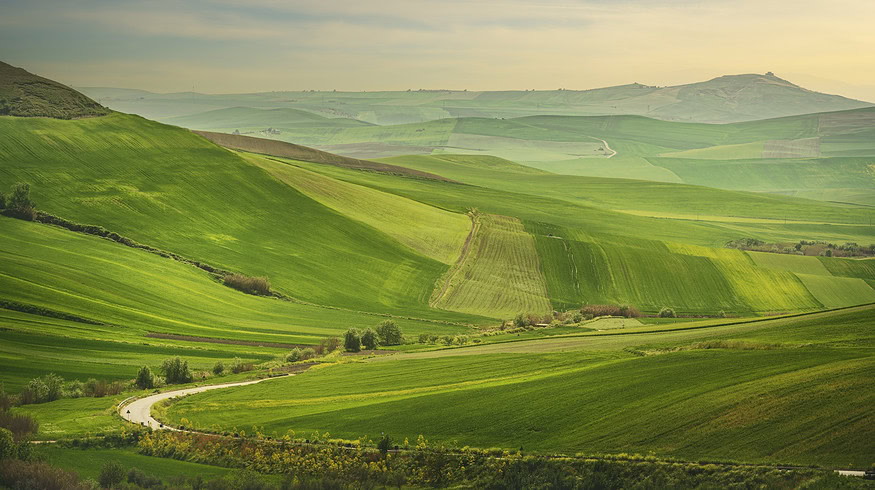 Puglia’s agricultural sector witnesses challenges and opportunities
