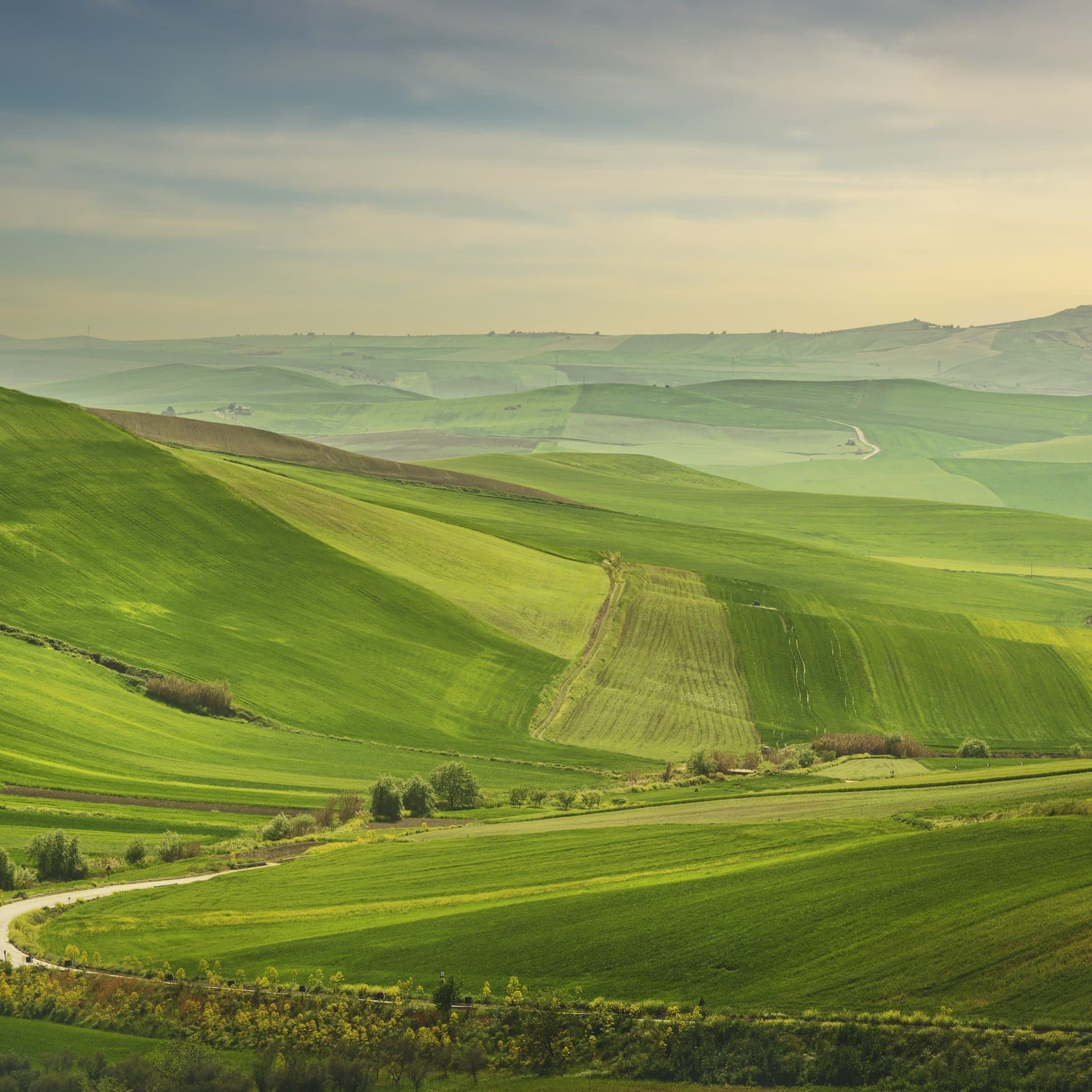 Puglia’s agricultural sector witnesses challenges and opportunities