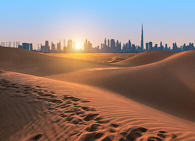 Bayer and Silal partnered to bolster UAE’s sustainable agriculture