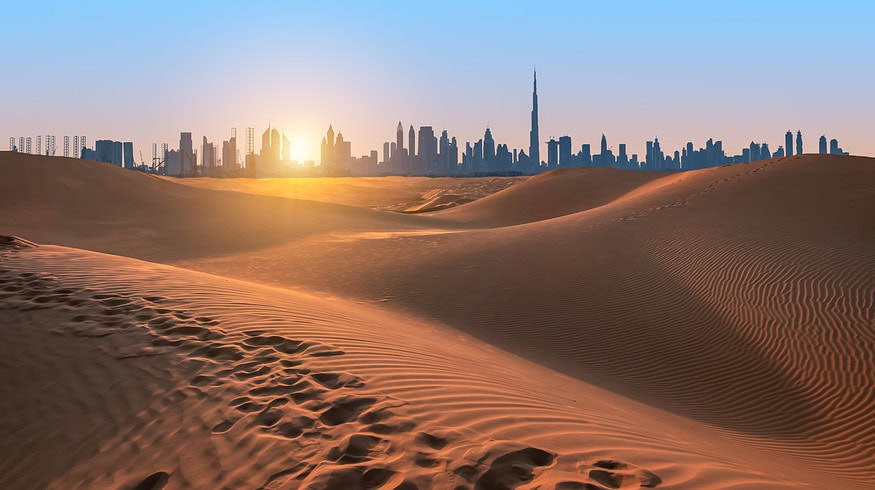 Bayer and Silal partnered to bolster UAE’s sustainable agriculture