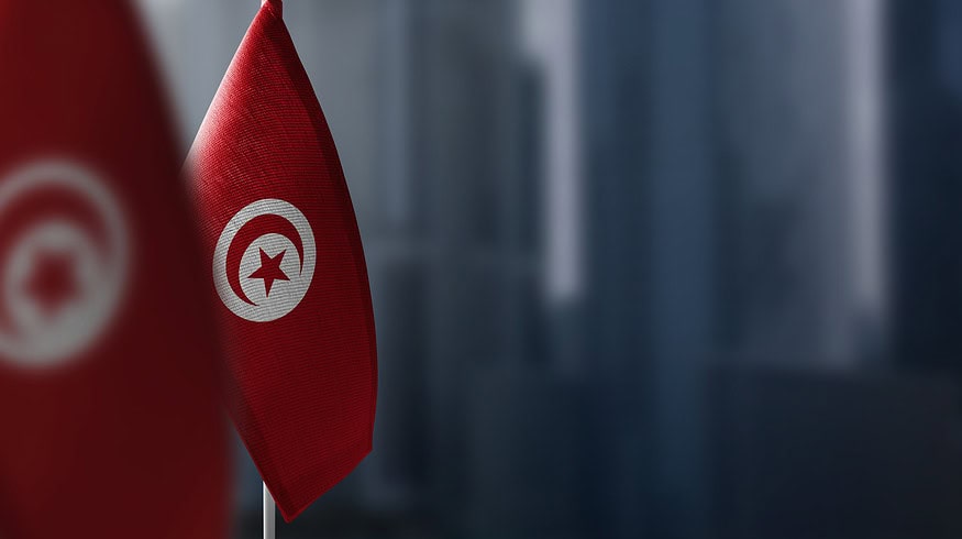 Sino-Arab Chemical Fertilizers Co. interested in Tunisian phosphate project