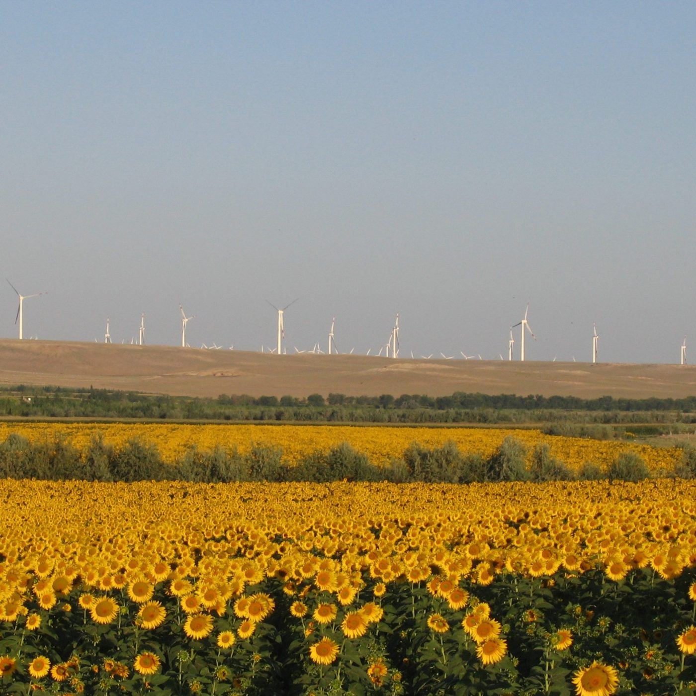 Uralchem to supply fertilizer to China