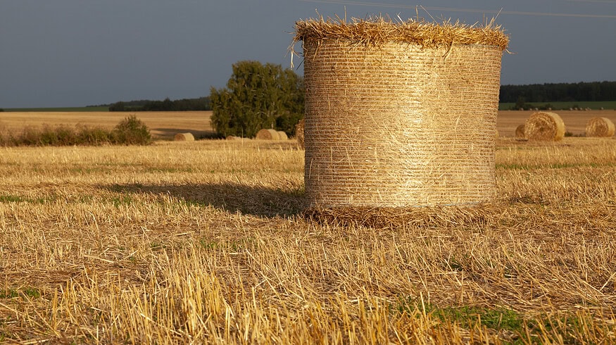 CNH invests in compostable net wrapping for bales