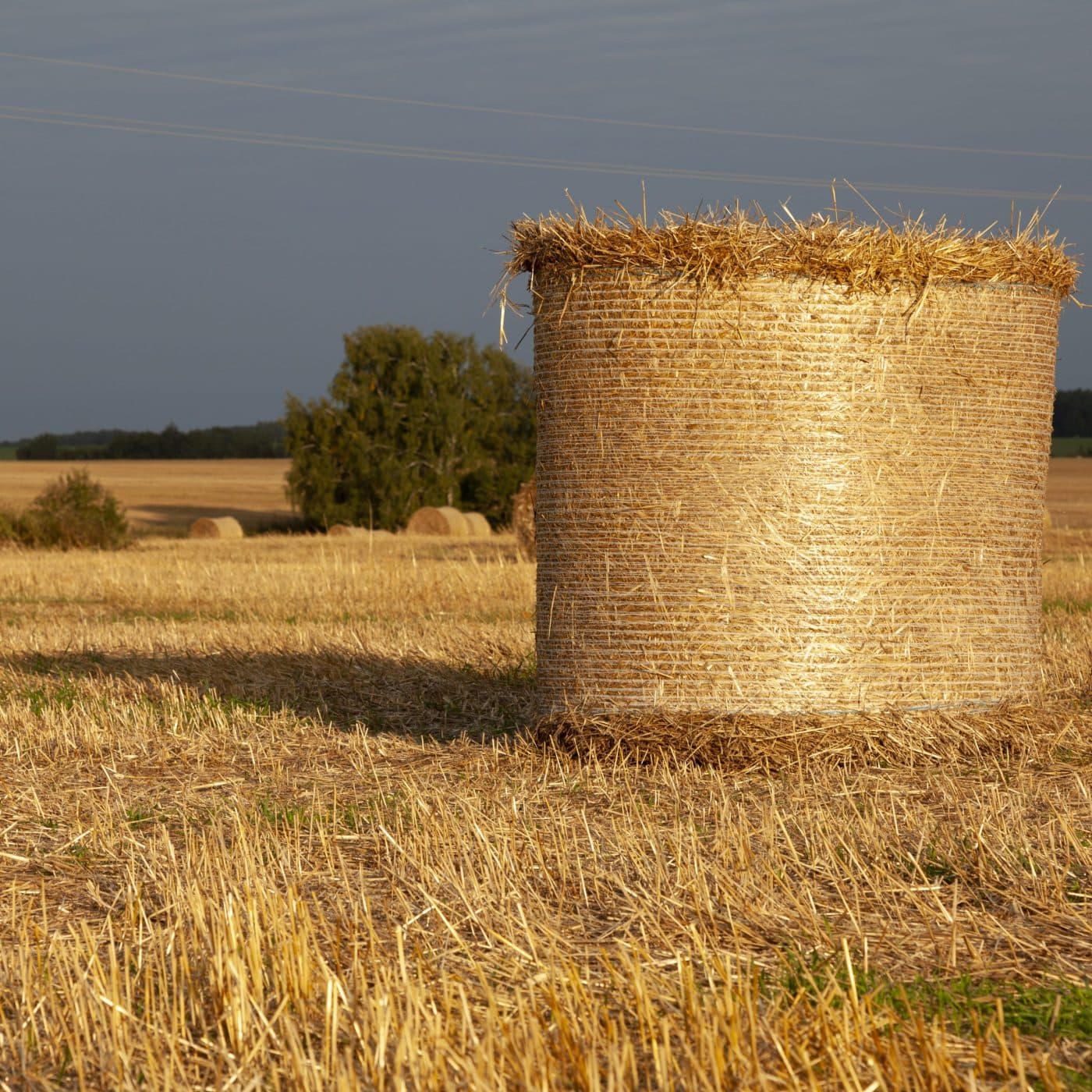 CNH invests in compostable net wrapping for bales
