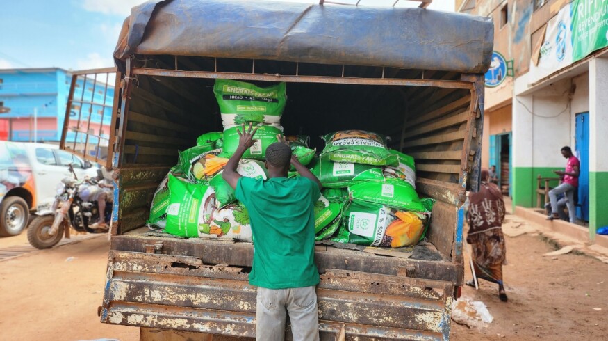 Fertilizer funding promotes growth of Ivory Coast’s cocoa farms