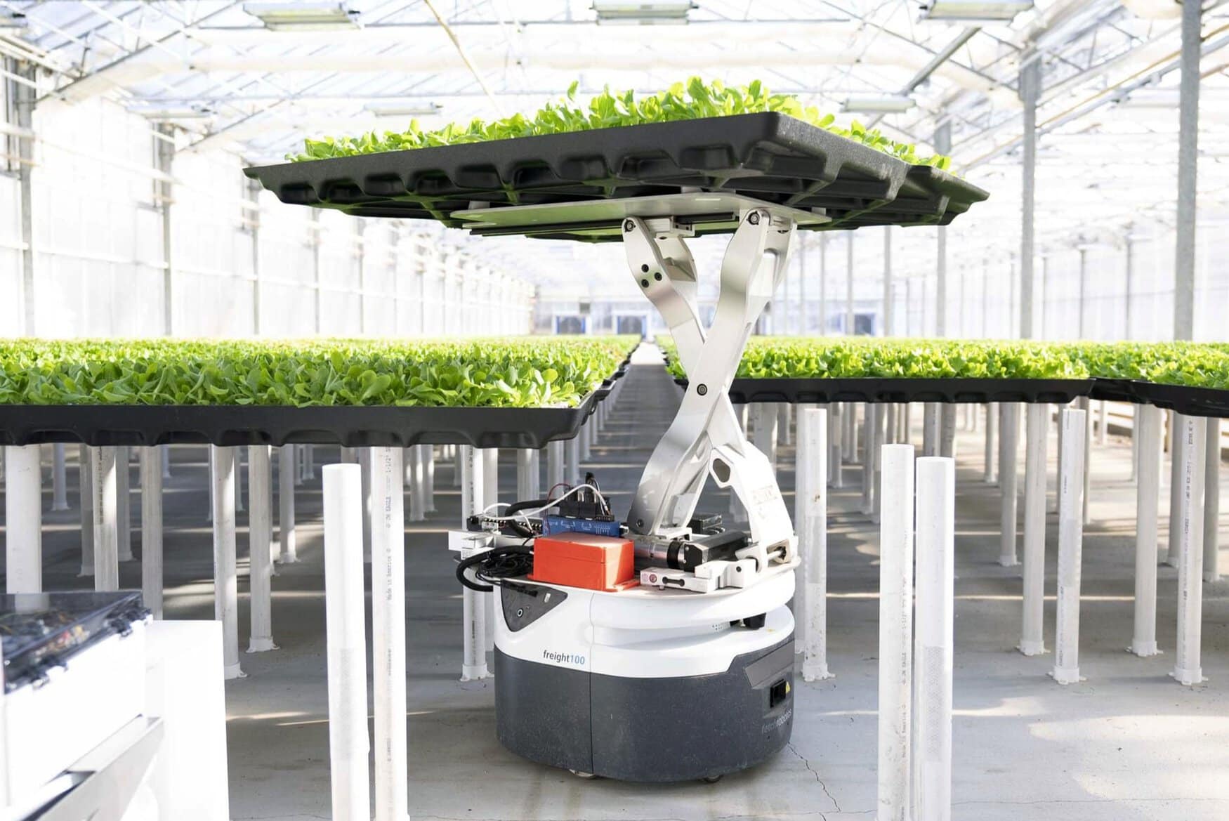 Hippo Harvest secures $21mn in Series B funding to expand its greenhouse technology