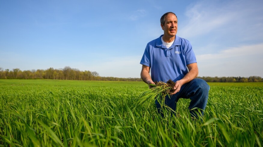 US soy industry cuts carbon footprint by 19% from 2015 to 2021 – study