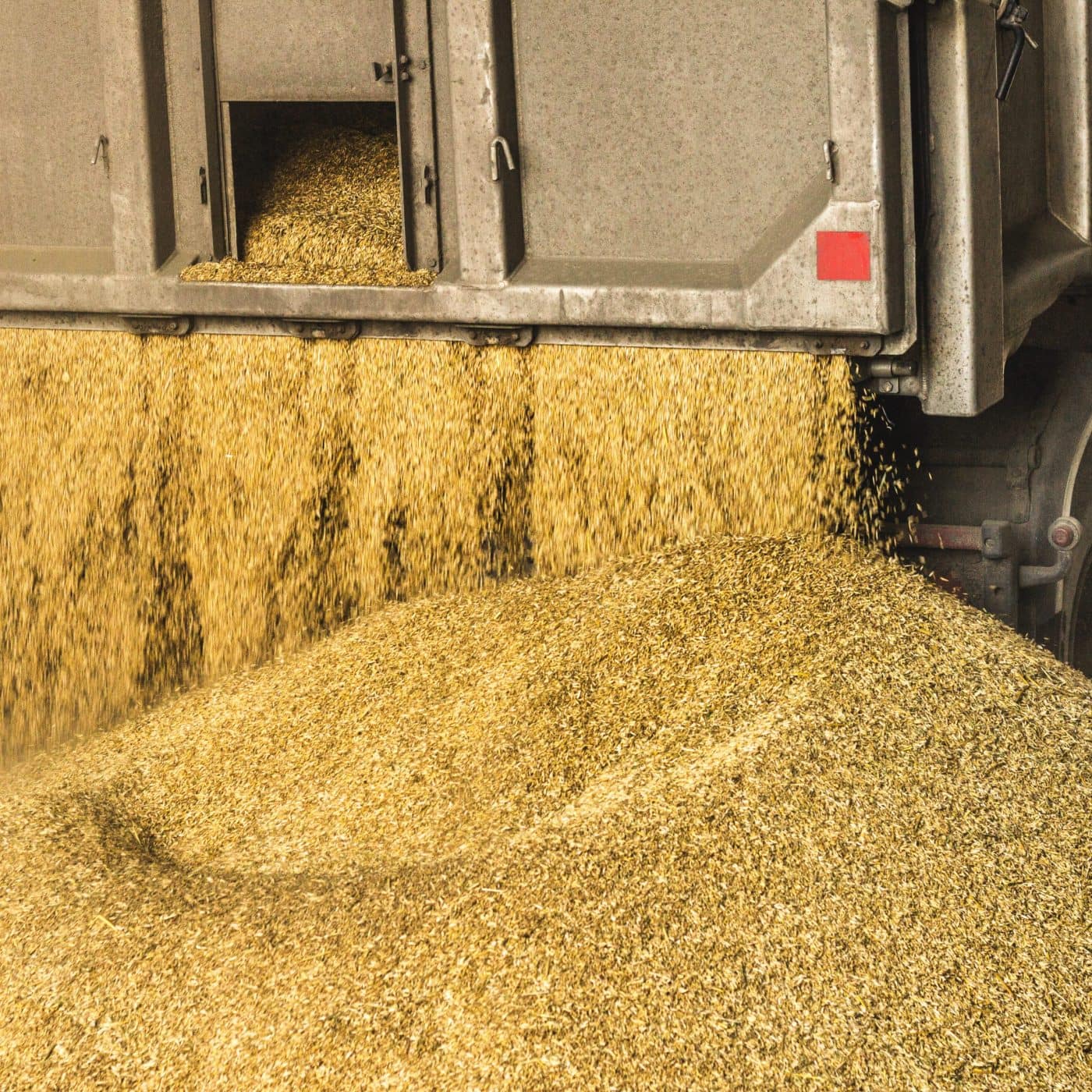 Poland could ban Russian agricultural imports – PM Tusk