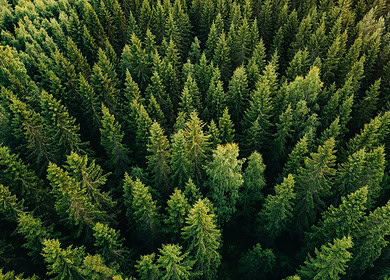 Kraton debuts new eco-friendly biobased fertilizer coating solution