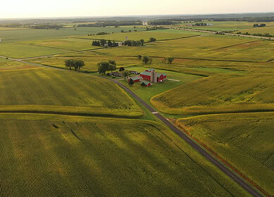 USDA census highlights the consolidation of Minnesota farms