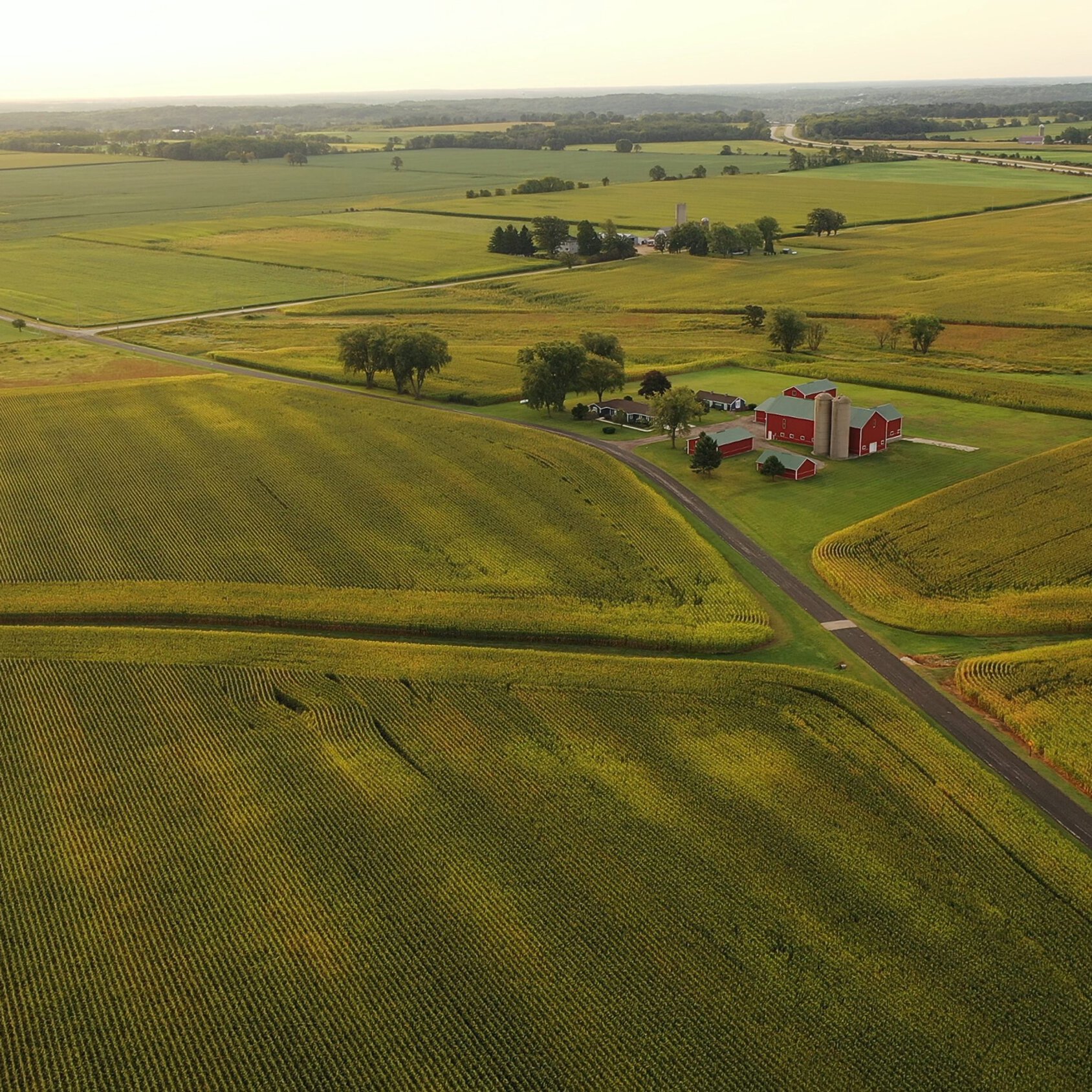 USDA census highlights the consolidation of Minnesota farms