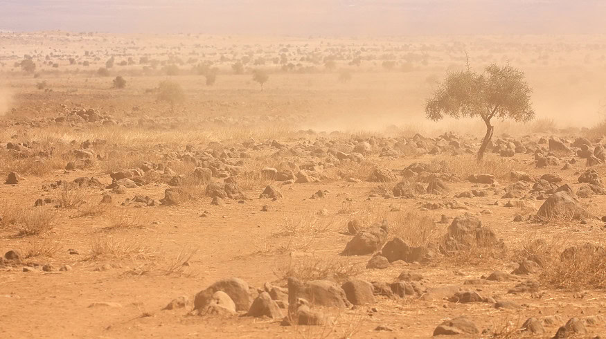 Africa requires climate finance mechanisms to tackle climate change issues