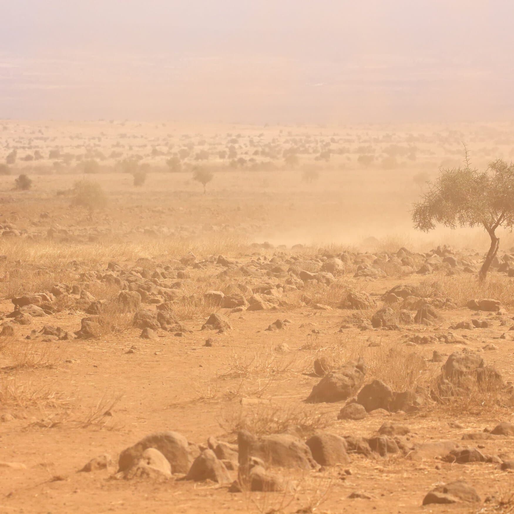 Africa requires climate finance mechanisms to tackle climate change issues