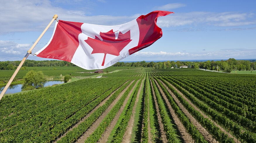 Canada becomes founding member of Efficient Fertilizer Consortium
