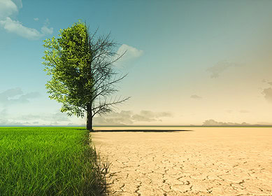 El Niño causes over $2mn of agricultural losses in the Philippines