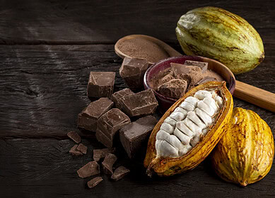 Unlocking the hidden potential of cacao beyond chocolate