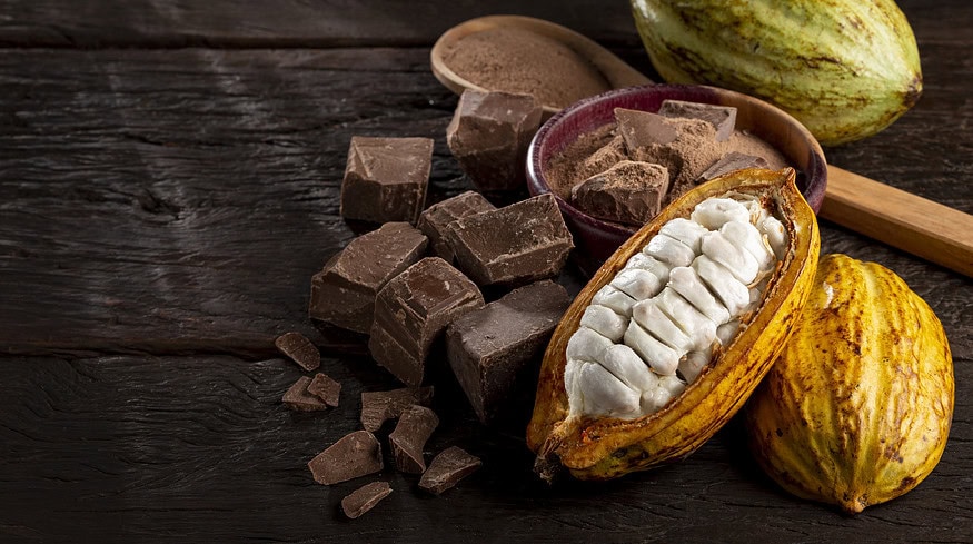 Unlocking the hidden potential of cacao beyond chocolate