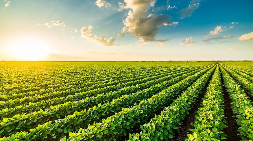 CF Industries appoints Christopher Bohn as EVP and COO