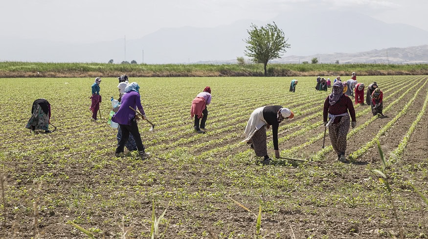 Turkish farmers grapple with surging debt as input costs rise