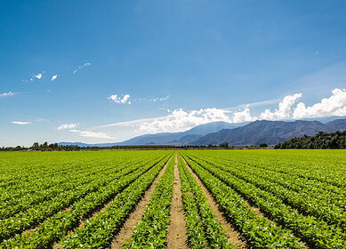 BiOWiSH says its fertilizer enhancer is enjoying global success