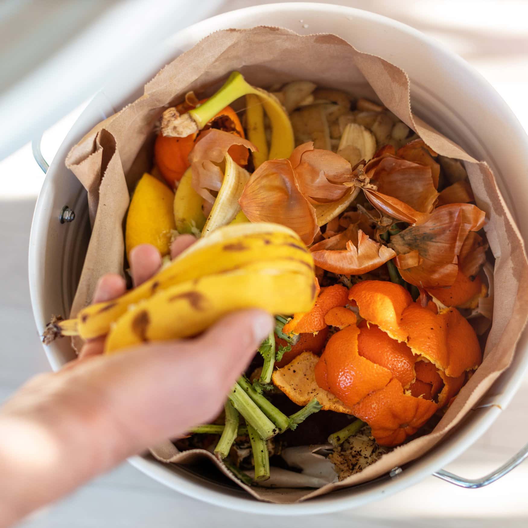 Royal Oak launches composting pilot program at Farmers Market