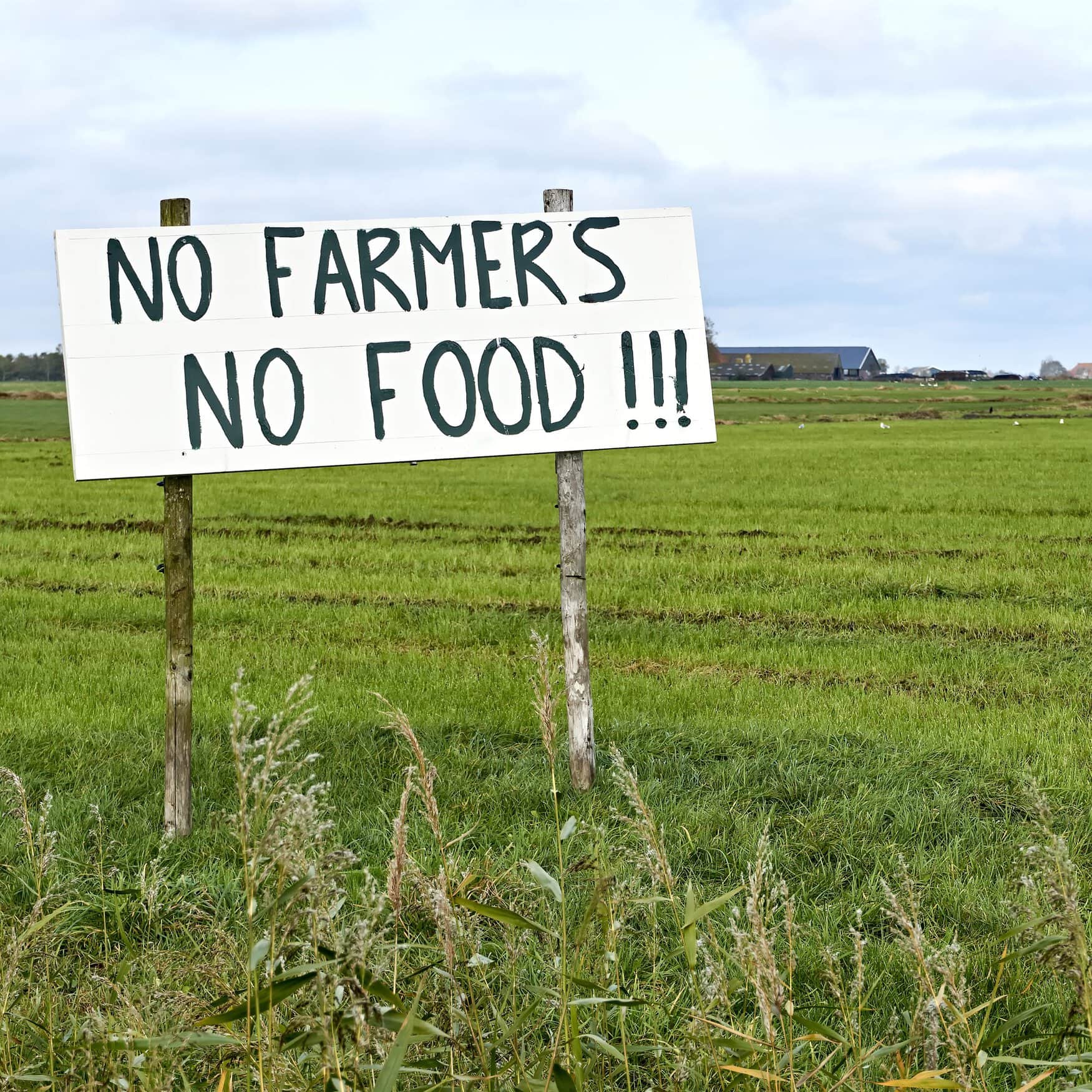 EU farmers express frustration over ‘excessive’ regulatory oversight