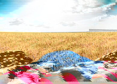 Report contends that US climate policy will ‘fail the farm’